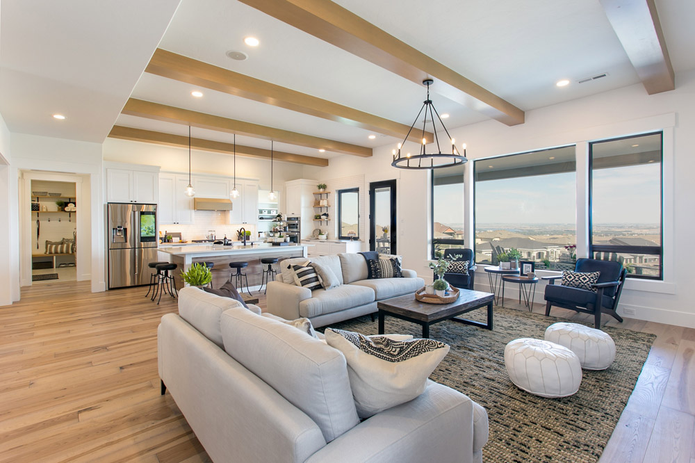 Transitional collection living room